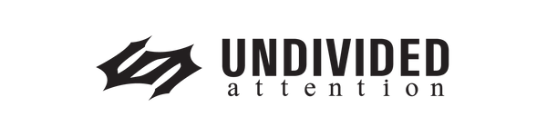 Undivided Attention